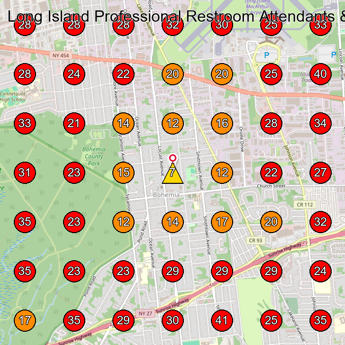 Long Island Professional Restroom Attendants & Housekeeping Service, GeoGrid visibility map for House Cleaning Service in Sayville